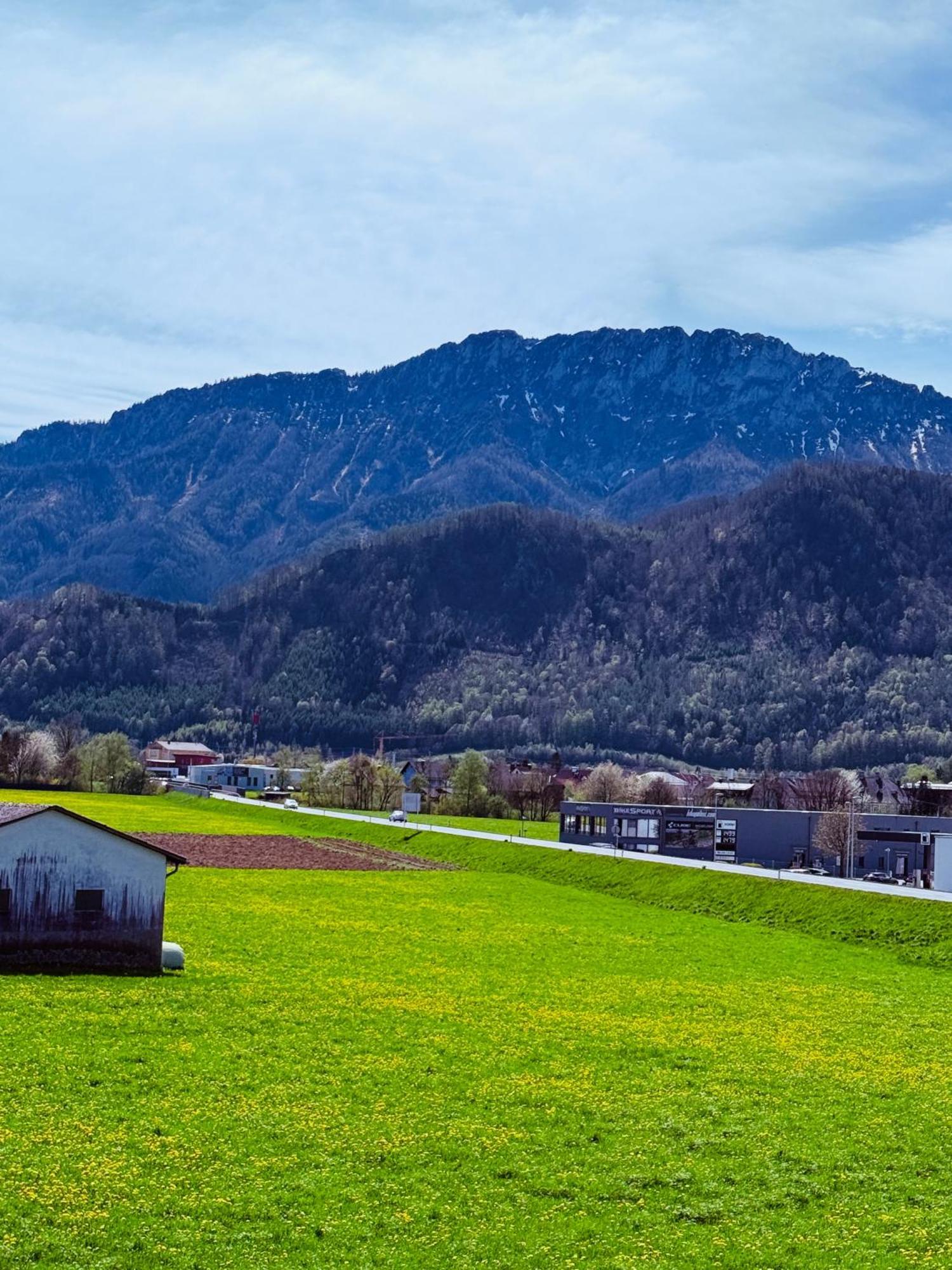 Zentrale Wohnung Mit Alpenblick Micheldorf in Oberösterreich Esterno foto